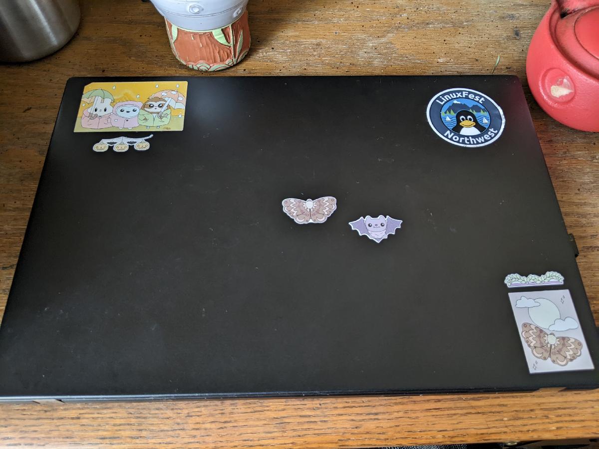 My Thinkpad laptop with some silly stickers on it.