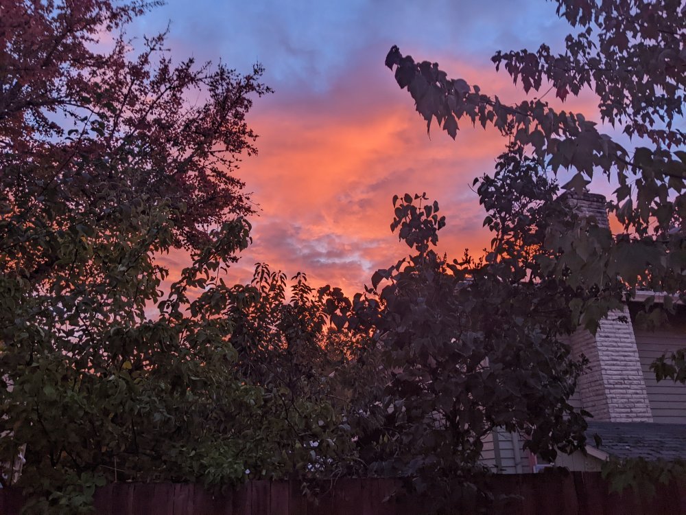 A colorful sunset through the trees and houses